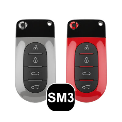 Smart Klíčový formulář (SM3)