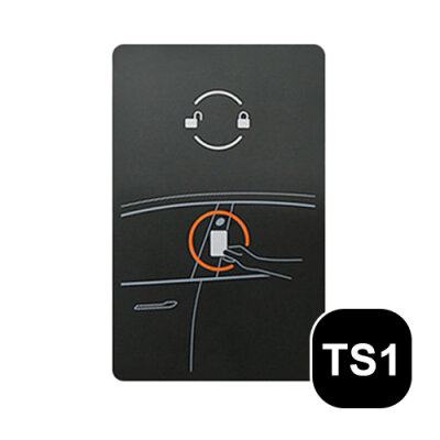 Tesla Anahtar Modeli (TS1)